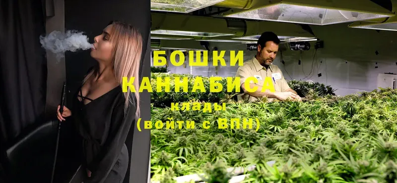 Бошки марихуана OG Kush  хочу   Шлиссельбург 